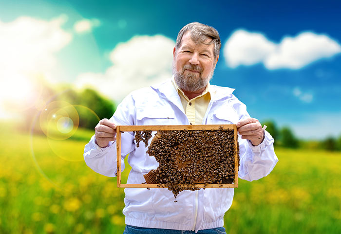 The-Sweet-Life-of-a-Honeybee