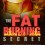 The Fat Burning Secret By Patrick Price ? All You Need to Know About Fat Burning