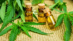 The use of Medicinal Cannabis