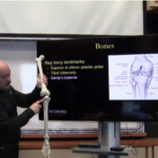 online-biomechanics-human-movement-course