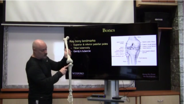 online-biomechanics-human-movement-course