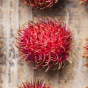 Exotic Fruits And Plants That You Must Try